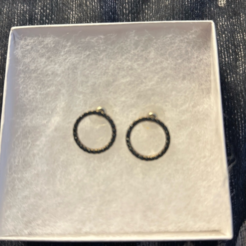 J. Crew blue gem earrings
